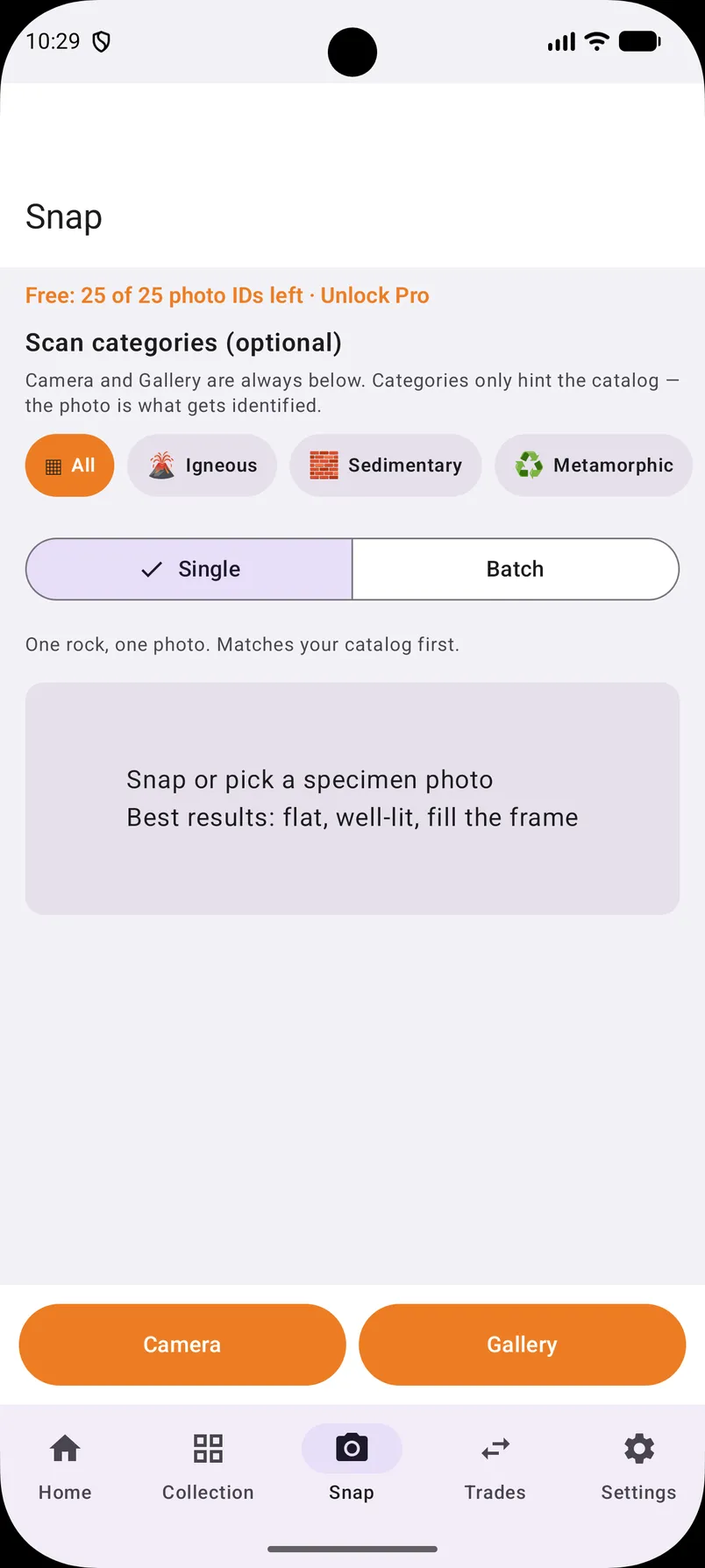 Snap Rocks scan screen with igneous, sedimentary, and metamorphic category chips plus Camera and Gallery.